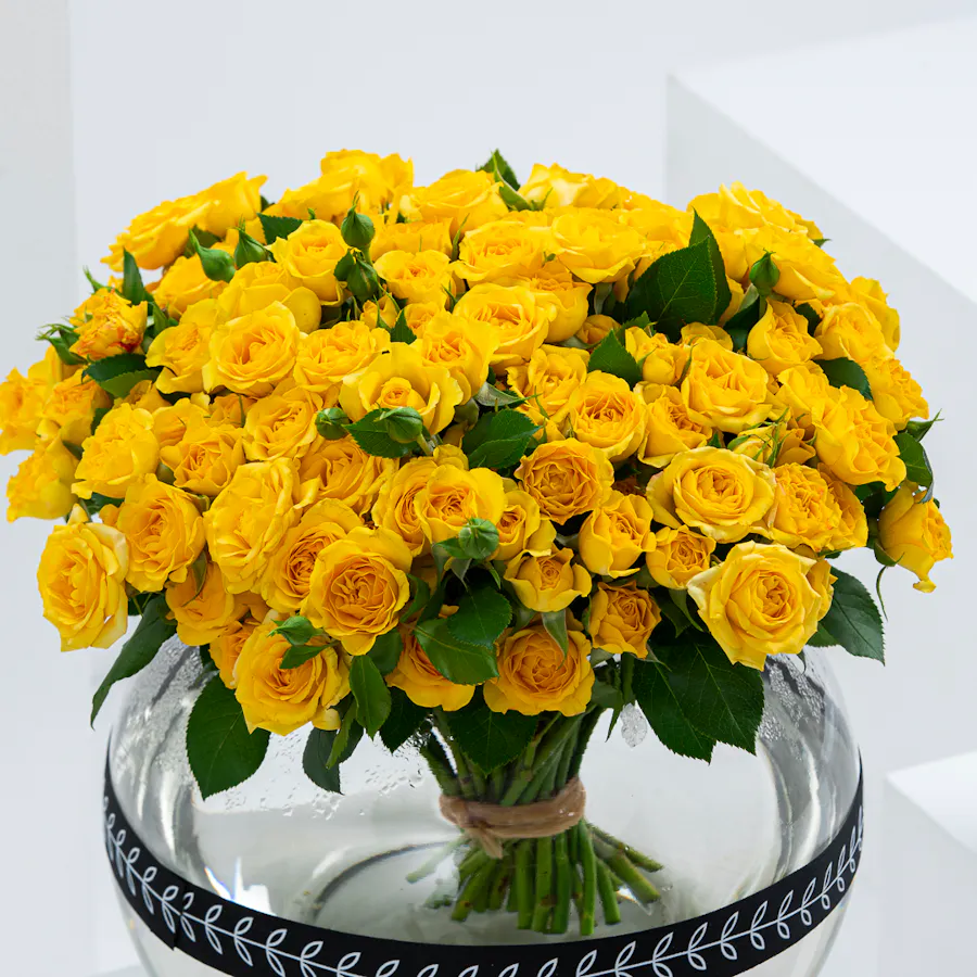 Yellow Joy 2
