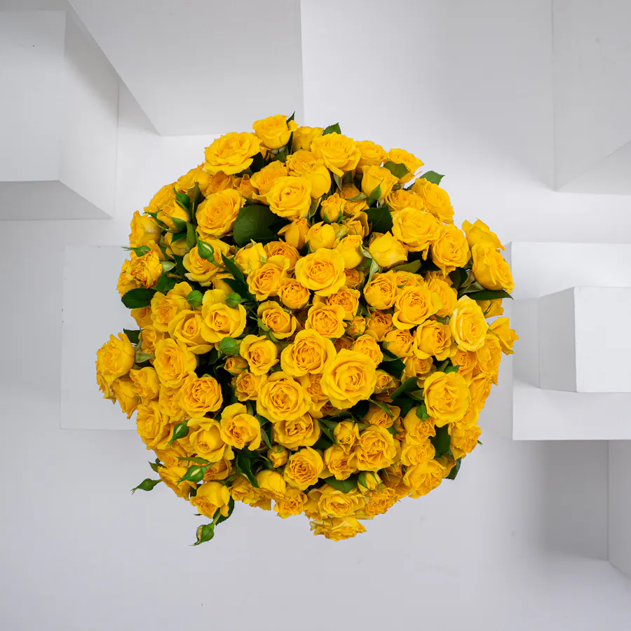 Yellow Joy 3