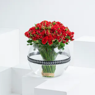 Baby ruby roses Baby ruby roses