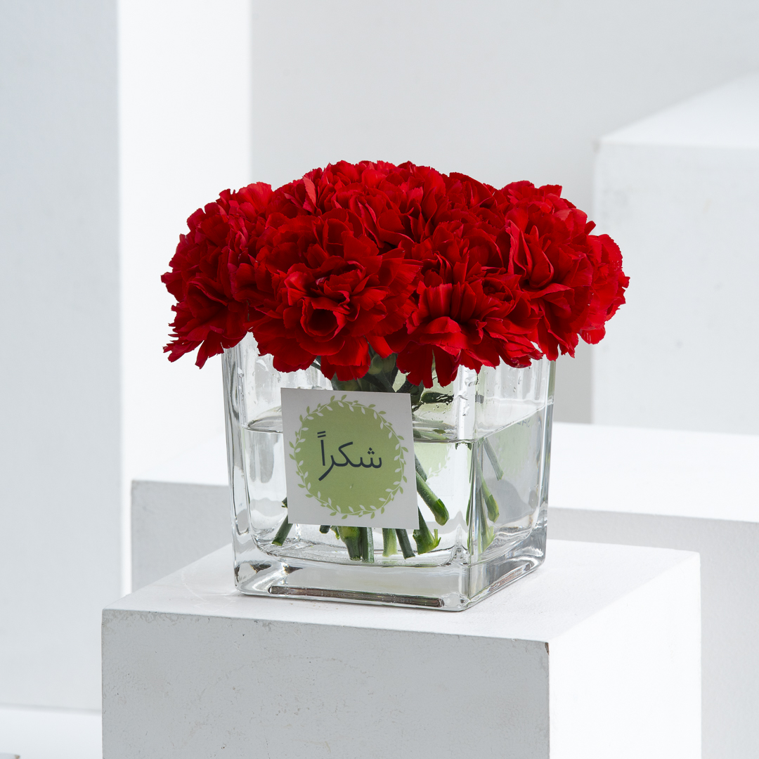 Thank You | Red Carnations