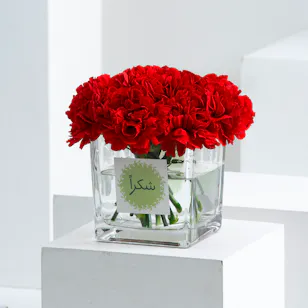 Thank You | Red Carnations Thank You | Red Carnations