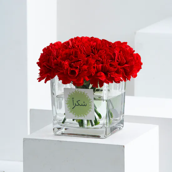 Thank You | Red Carnations