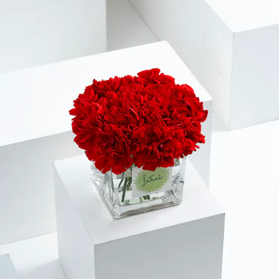 Thank You | Red Carnations