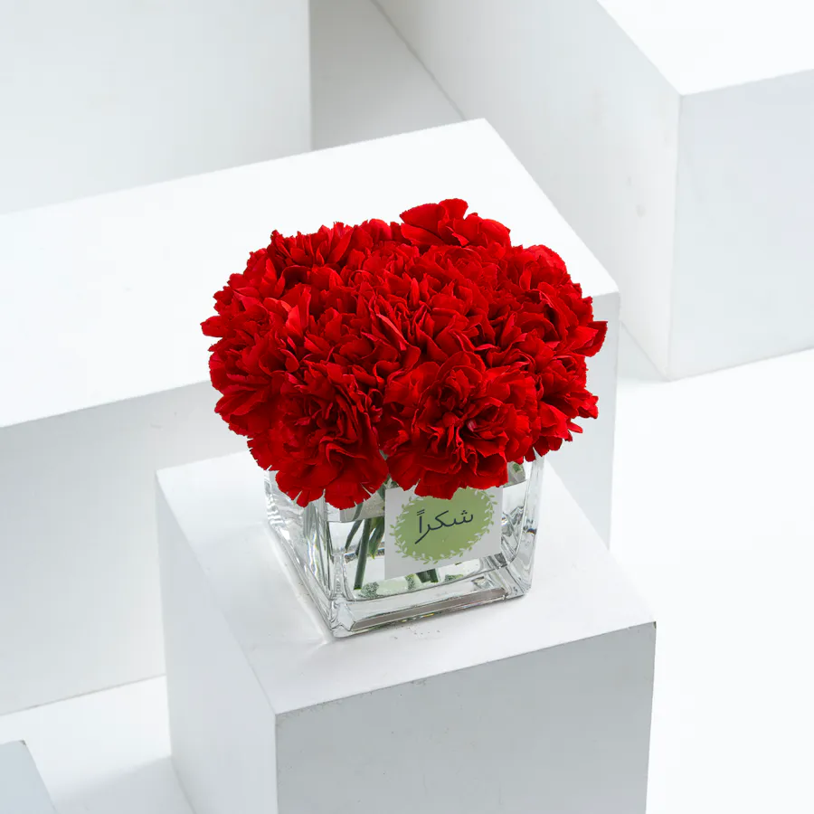 Thank You | Red Carnations 3