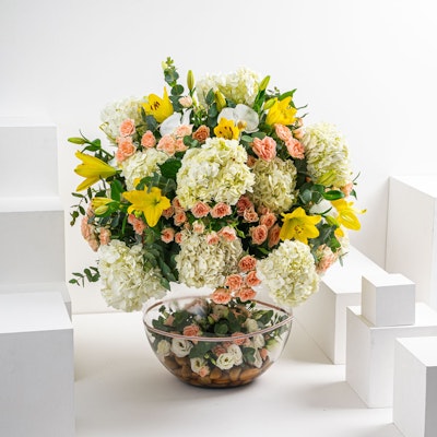Dream Circle Vase