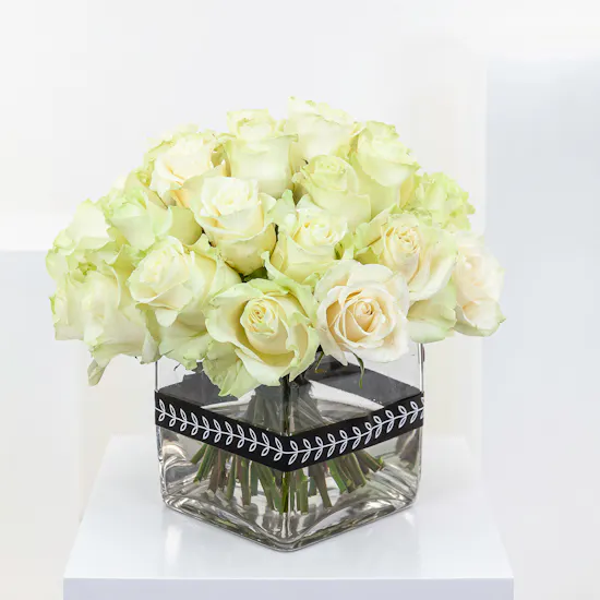 White Elegance