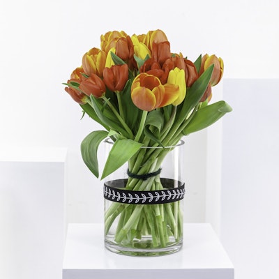 Vibrant Mixed Tulip Cylinder