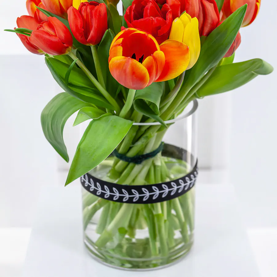 Vibrant Tulip | Glass Vase 2