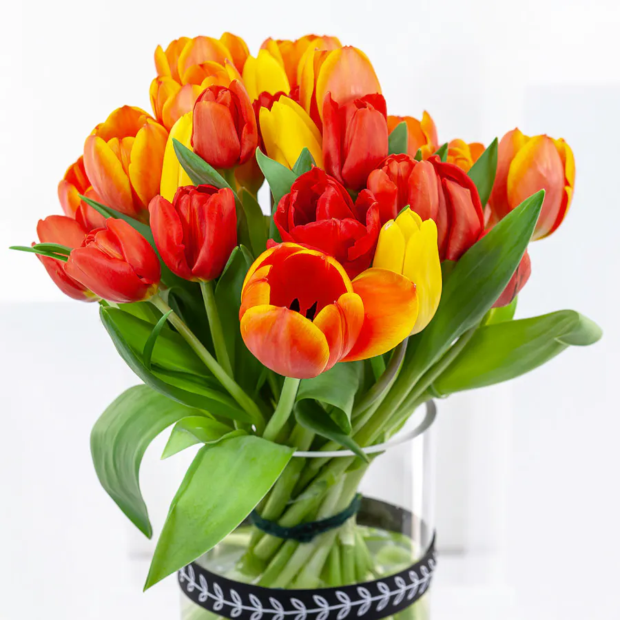 Vibrant Tulip | Glass Vase 3