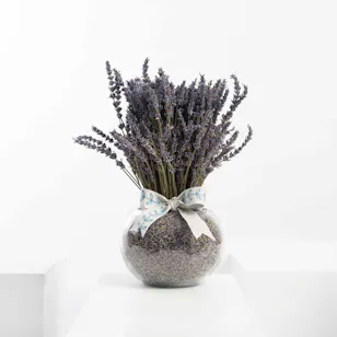 Violet Evergarden | Glass Vase