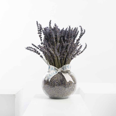 Violet Evergarden | Glass Vase