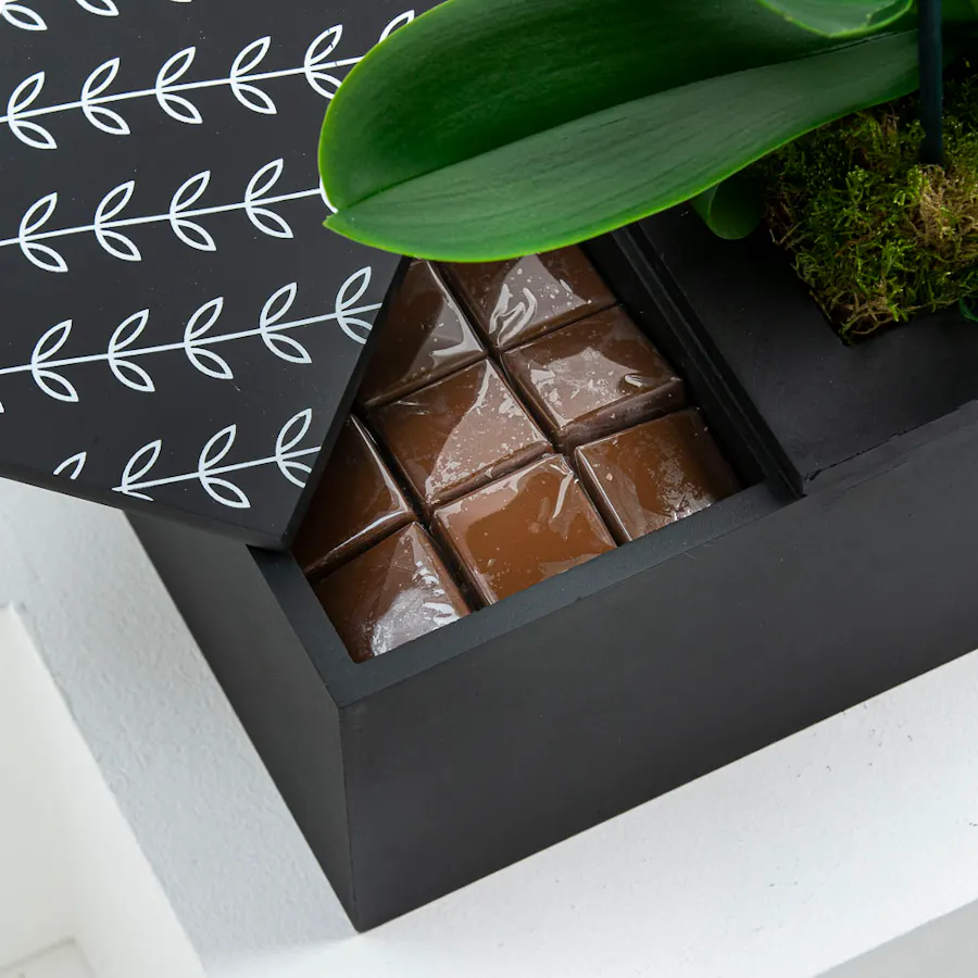 Chocolate Bundle V 2