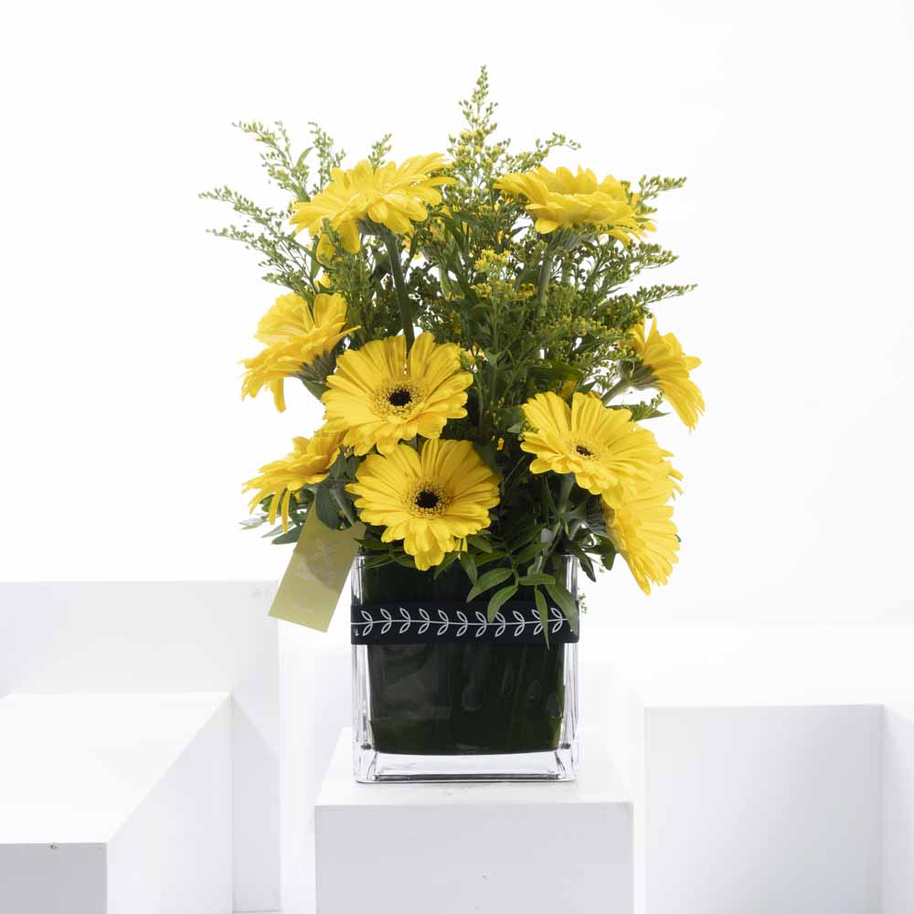 الاصفر المشع | مزهرية مربعة