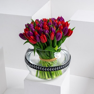 Say it with Tulips | 50 Tulip