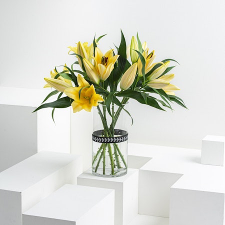 8  Yellow Lilies | Vase
