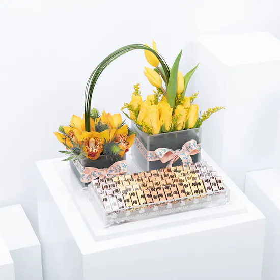 Abucci Chocolate | Yellow Blooms