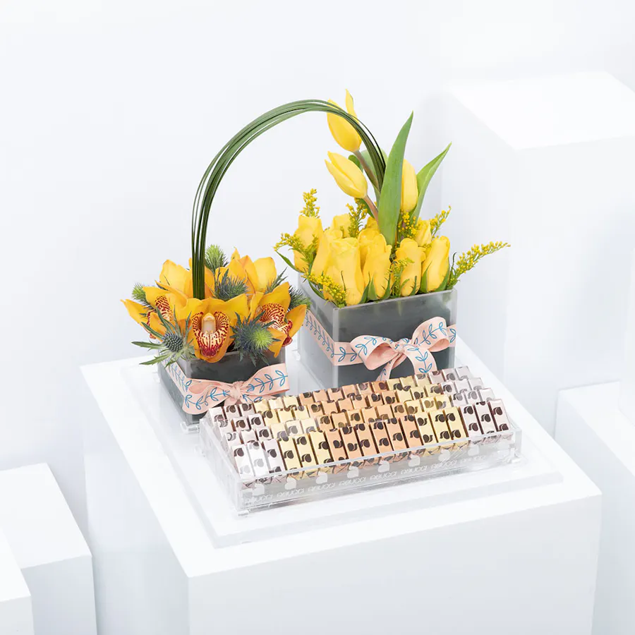 Abucci Chocolate | Yellow Blooms  1