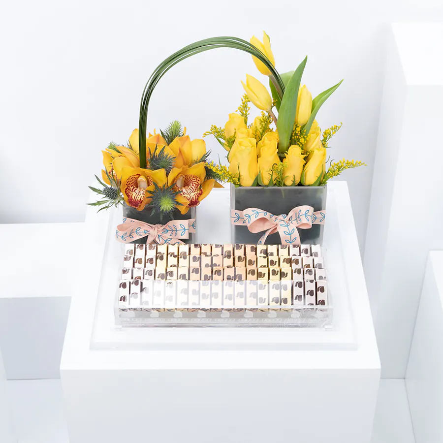 Abucci Chocolate | Yellow Blooms  3