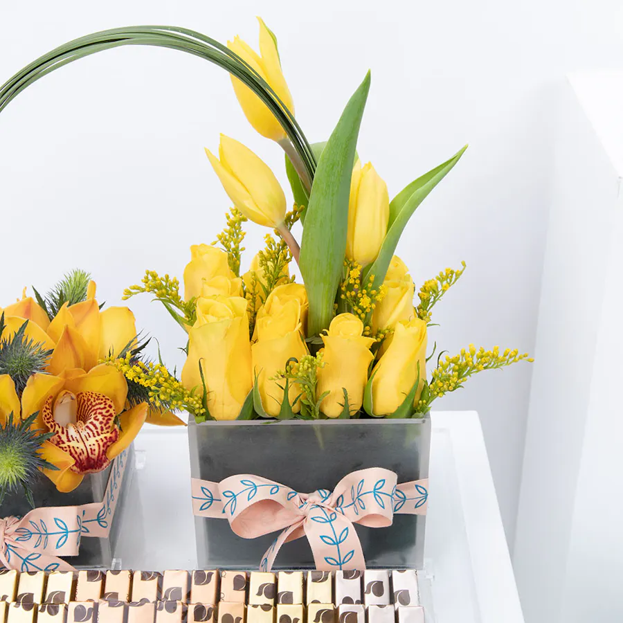 Abucci Chocolate | Yellow Blooms  4