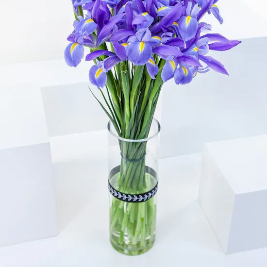 Blue Iris | Cylinder Vase