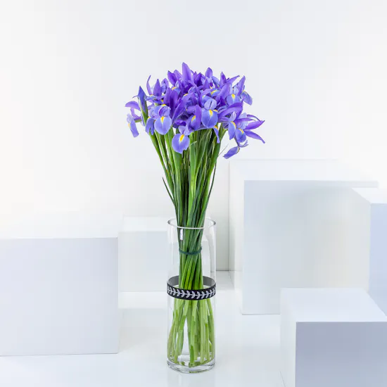 Blue Iris | Cylinder Vase