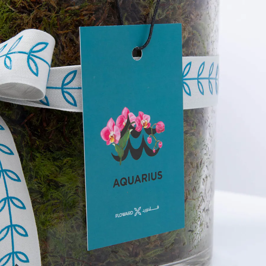 Aquarius Ones | Pink Orchid 3