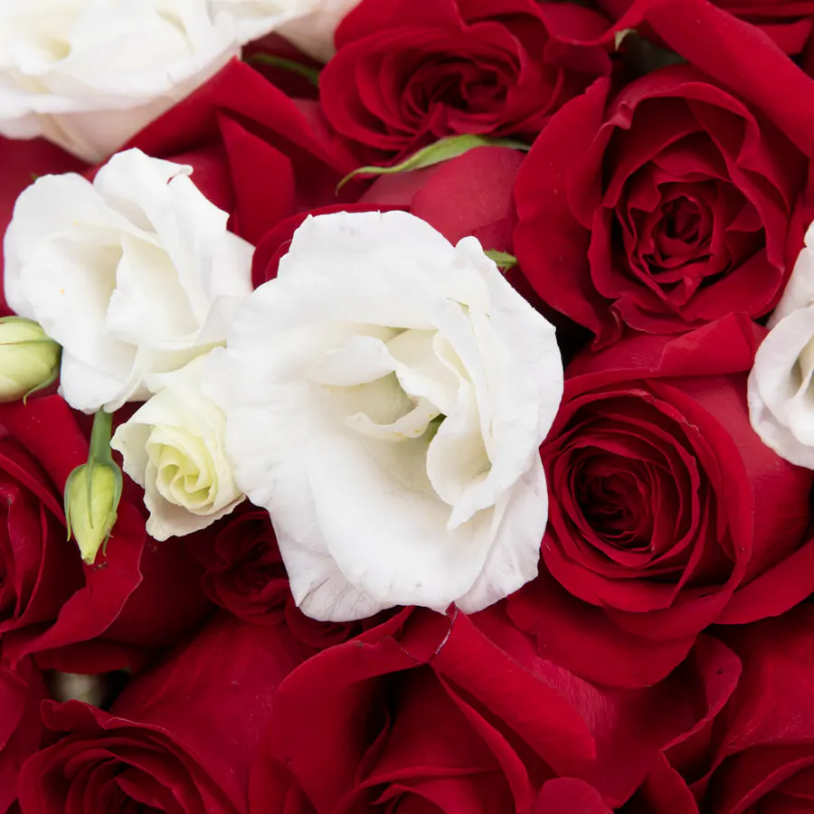 Be mine 3