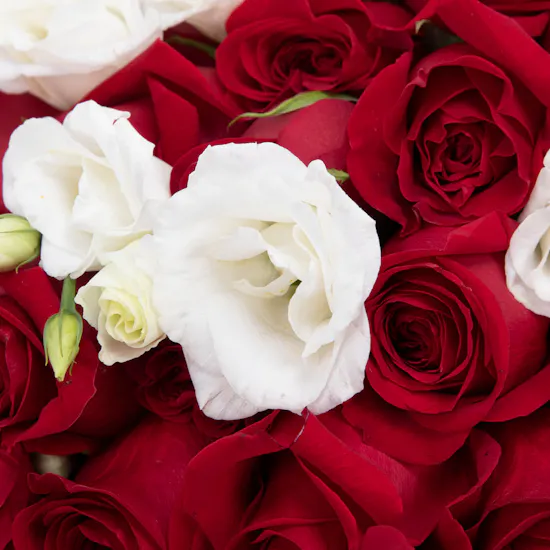 Be mine
