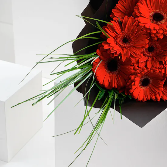 Red Daisy Bouquet