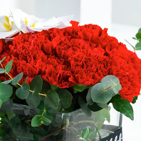 Valentine's Flowers III