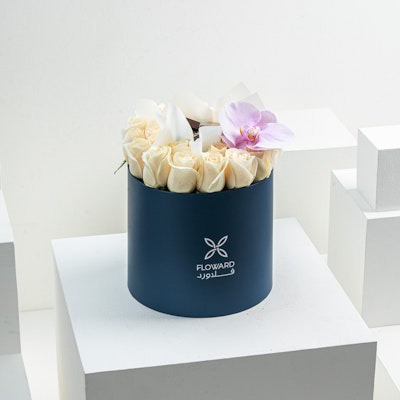 Chocolate Bundle VI