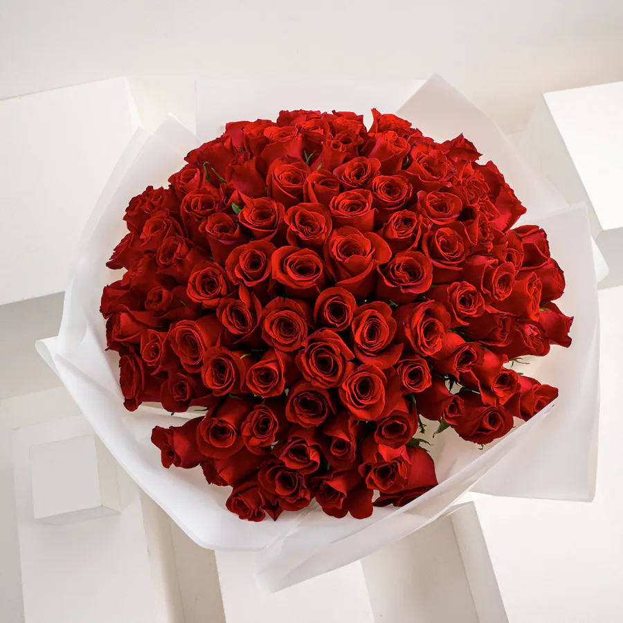 The Dream | 100 Red Roses 2