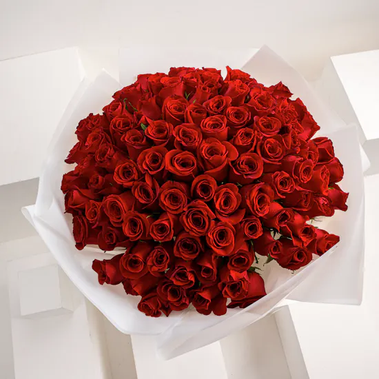The Dream | 100 Red Roses