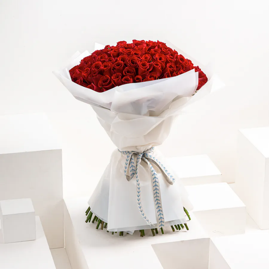 The Dream | 100 Red Roses 3
