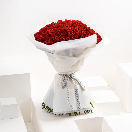 The Dream | 100 Red Roses