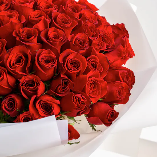 The Dream | 100 Red Roses