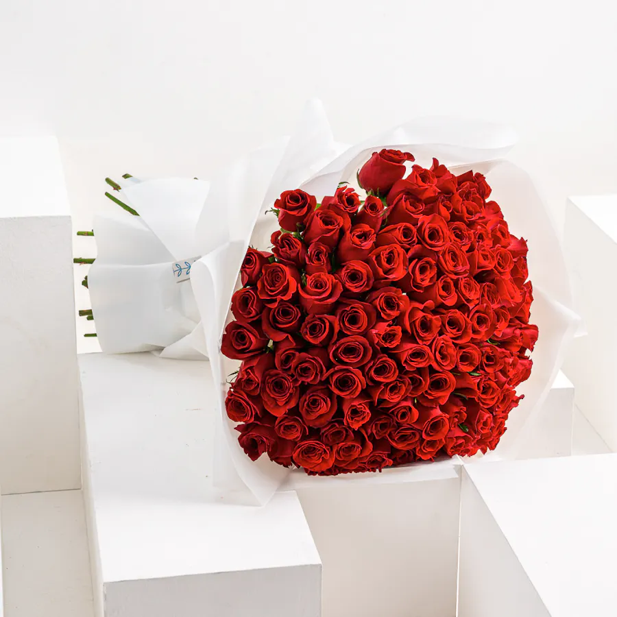 The Dream | 100 Red Roses 6