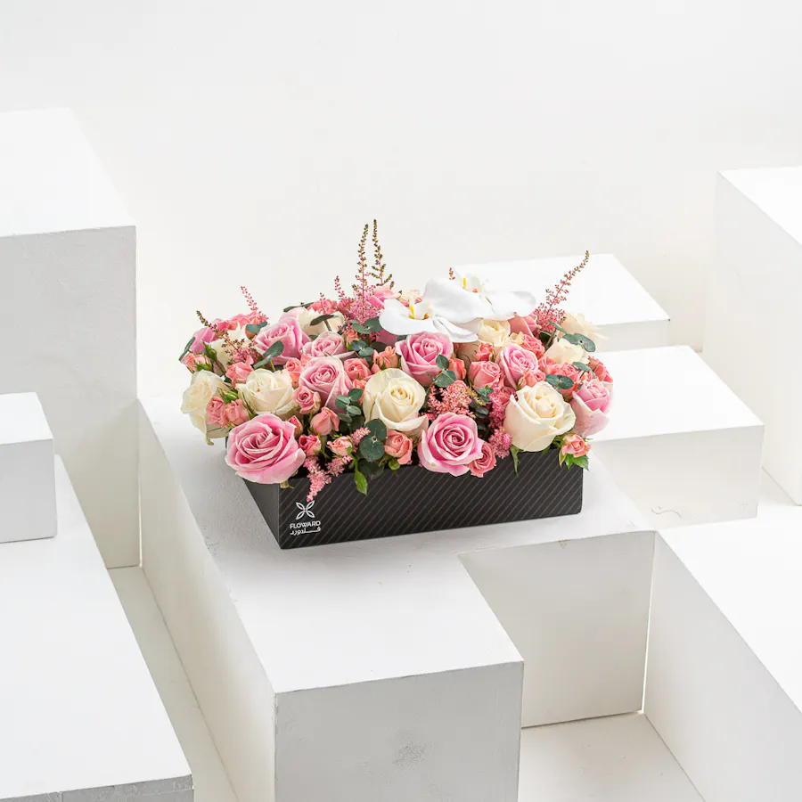 Love Box III 4