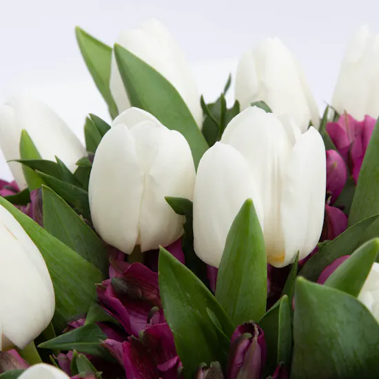 Pisces In Purple | White Tulip & Purple Alstroemeria