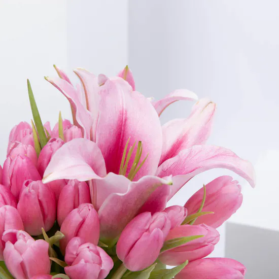 The Tulips | Pink Tulip & Lily
