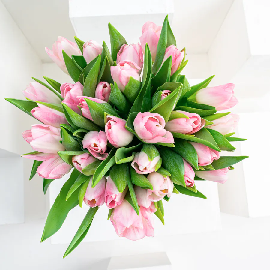 [USED IN AUTOMATION] Pink Tulips | Cylinder Vase 2