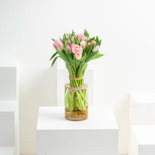 [USED IN AUTOMATION] Pink Tulips | Cylinder Vase