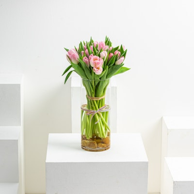 30 Pink Tulips | Cylinder Vase