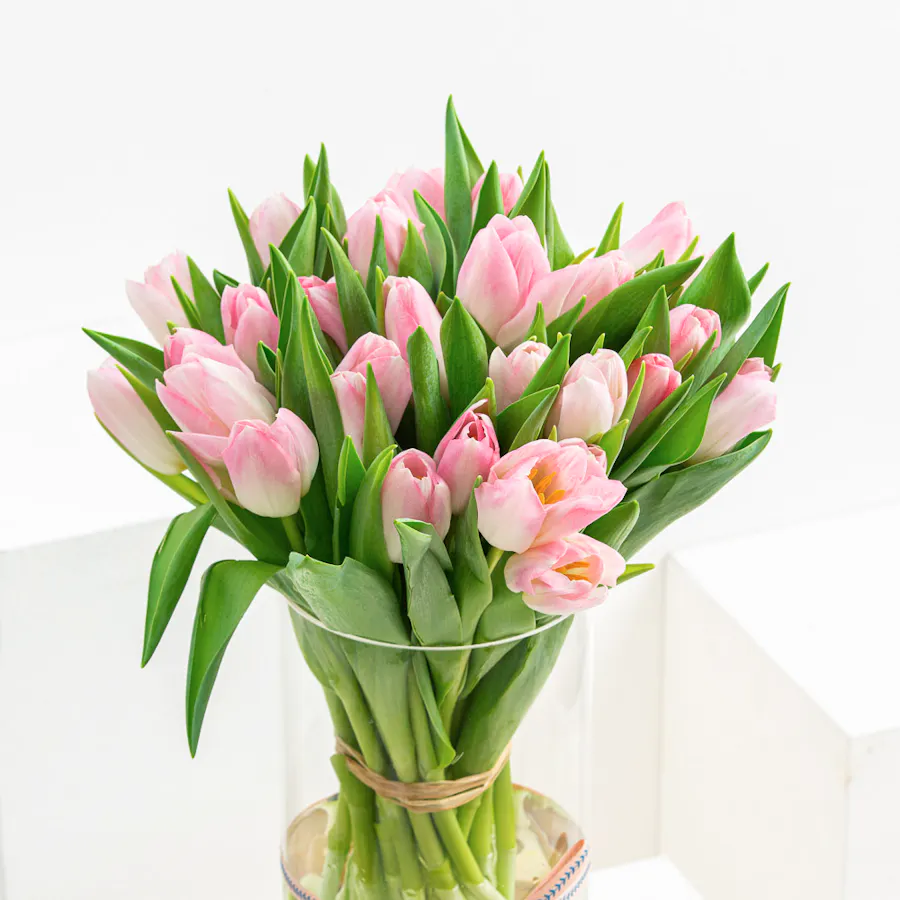 [USED IN AUTOMATION] Pink Tulips | Cylinder Vase 3