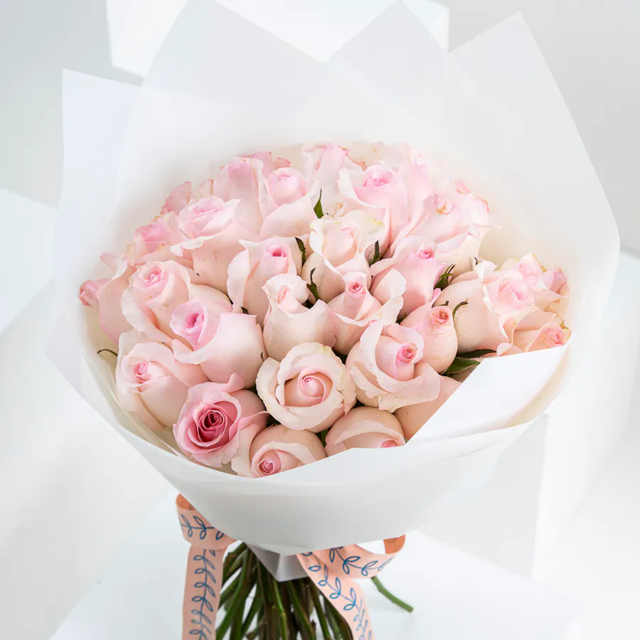 Loving Pink | White Wrap 2