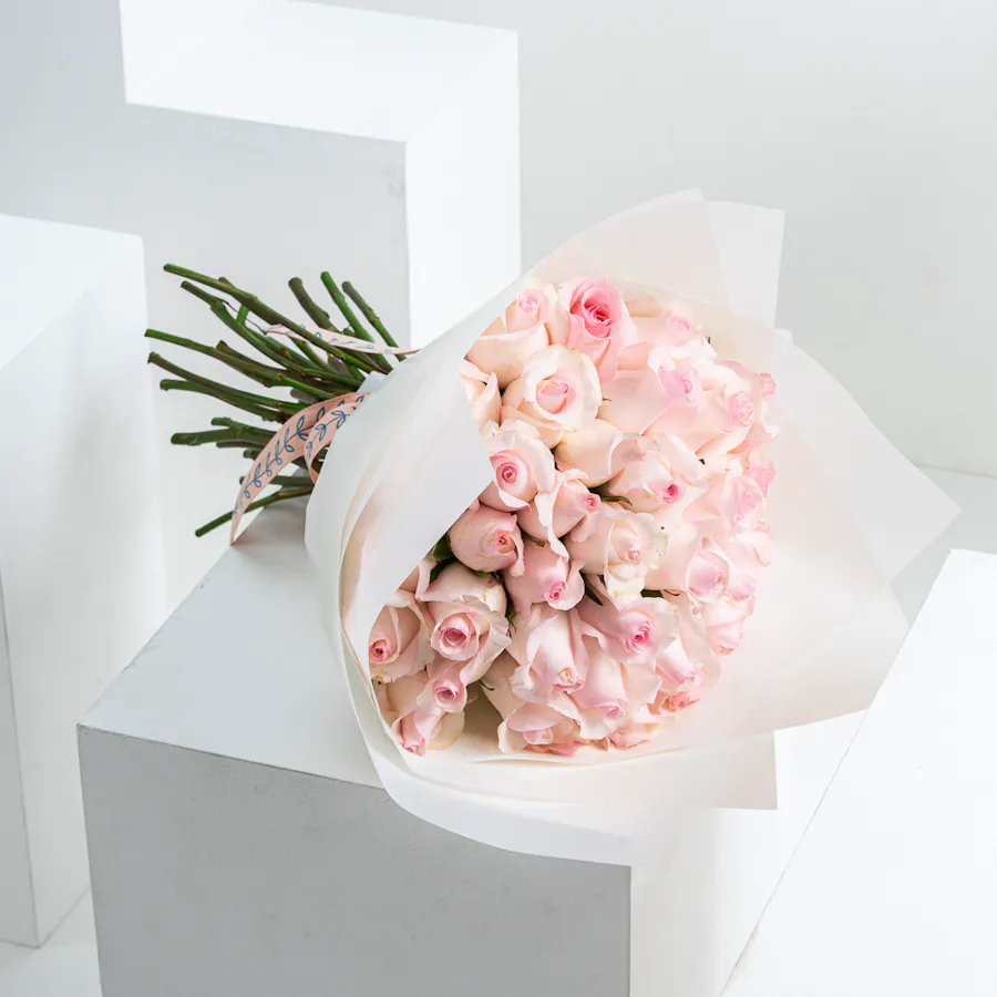 Loving Pink | White Wrap 1
