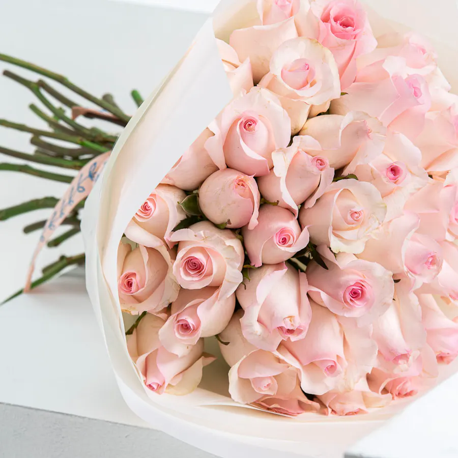 Loving Pink | White Wrap 3