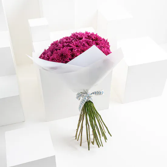 Purple Chrysanthemums