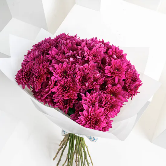 Purple Chrysanthemums