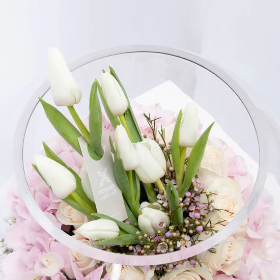 Purity Garden